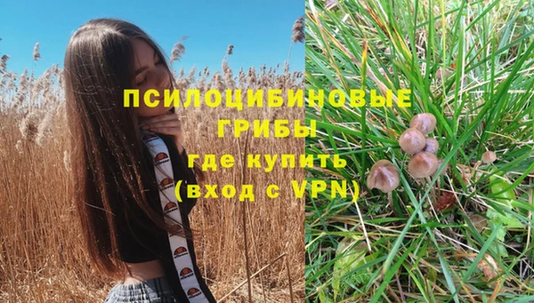 соль ск Аркадак