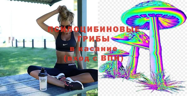 соль ск Аркадак